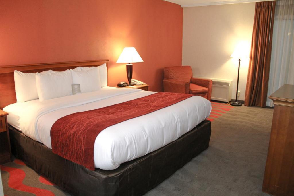 Comfort Inn & Suites Airport Syracuse Rom bilde